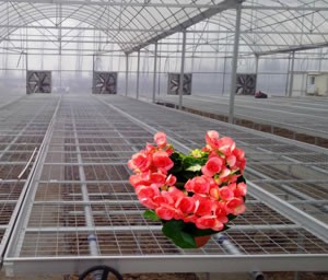 增茂公司的產(chǎn)品性價比非常高